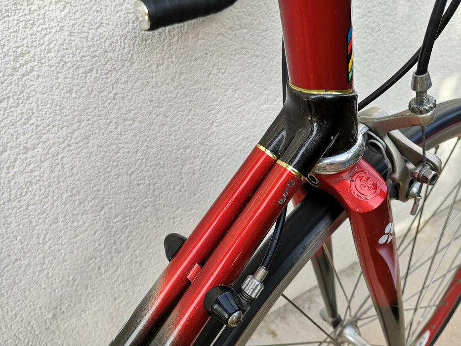 Vintage Rare Colnago Carbitubo road racing bike Carbon Collection Item