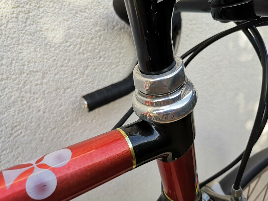 Vintage Rare Colnago Carbitubo road racing bike Carbon Collection Item