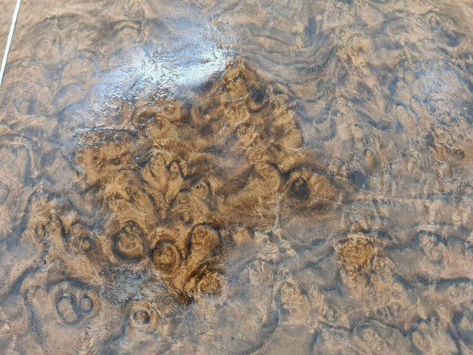 American Walnut Burl wood veneer natural A+ quality 5.63m2 total