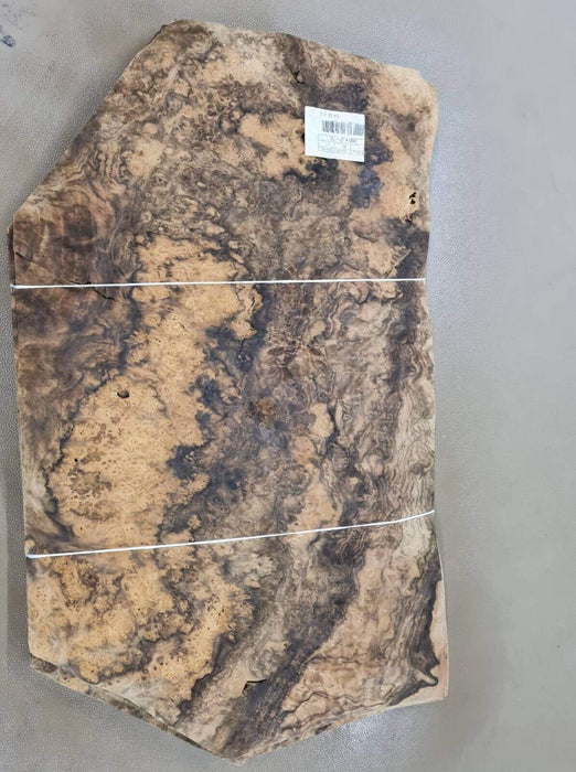 Asian Walnut Burl wood veneer natural A+ quality 4.22m2 total